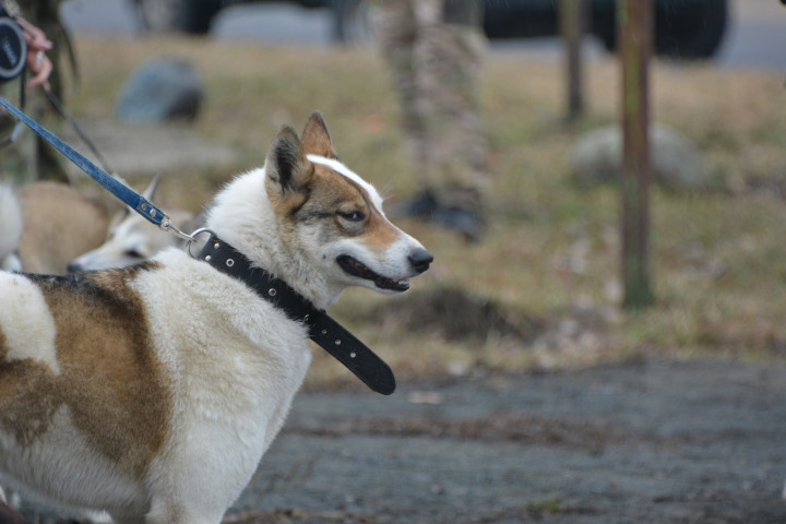 DSC_0079.JPG