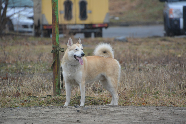 DSC_0080.JPG