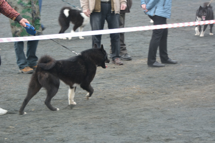 DSC_0084.JPG