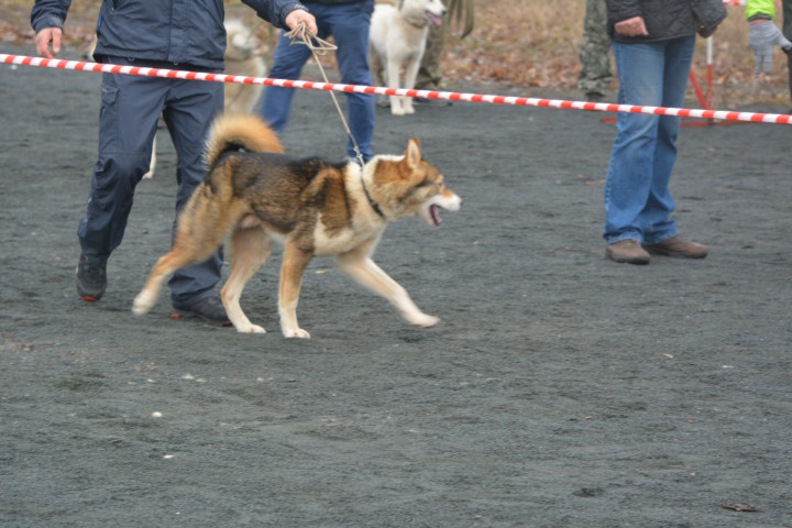DSC_0085.JPG