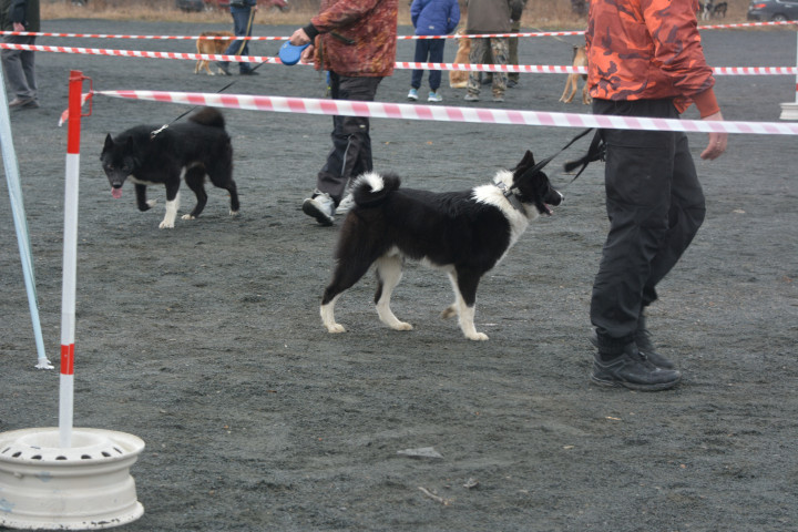 DSC_0087.JPG