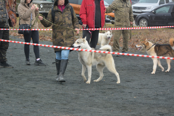 DSC_0088.JPG