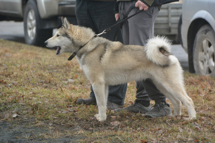 DSC_0089.JPG