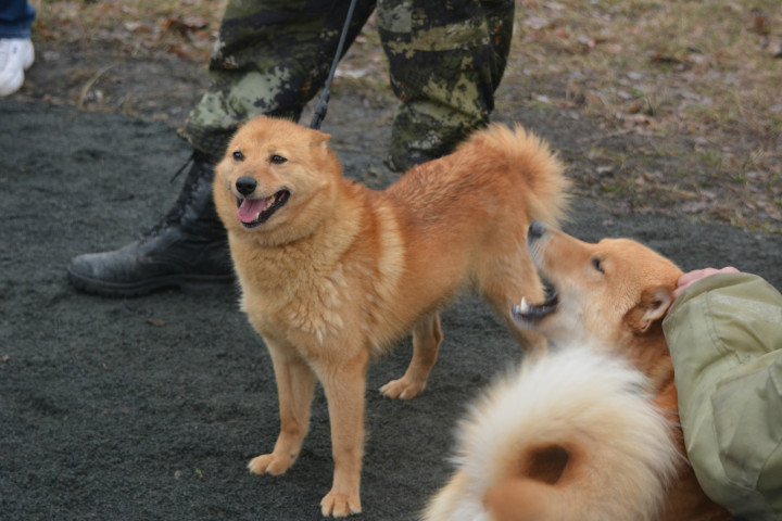 DSC_0091.JPG