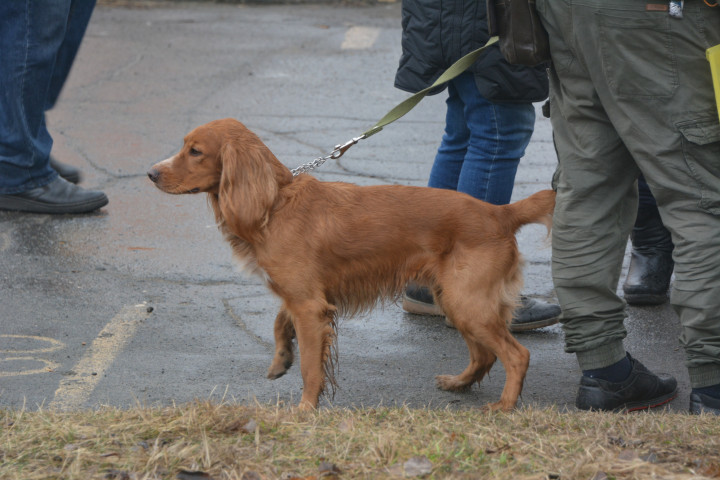 DSC_0092.JPG