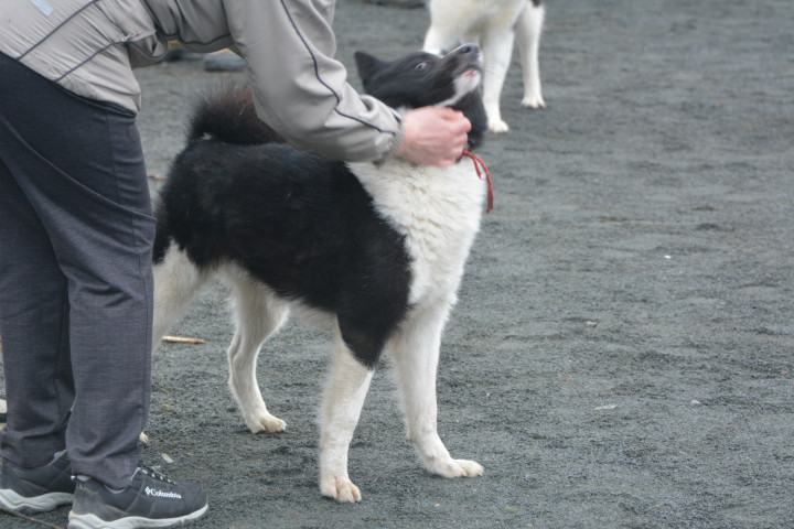 DSC_0094.JPG