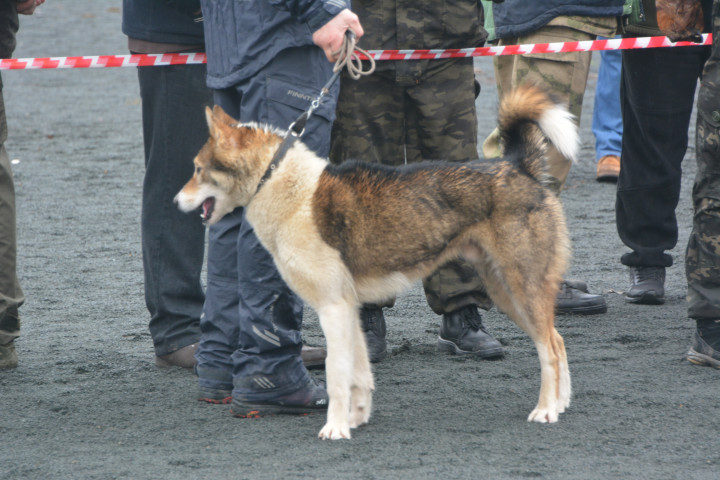DSC_0095.JPG