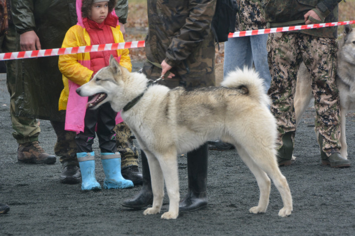 DSC_0096.JPG