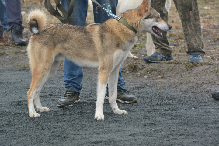 DSC_0097.JPG