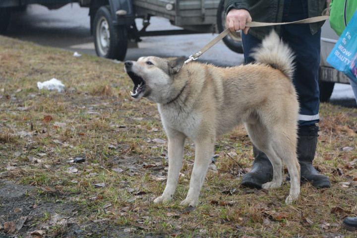 DSC_0099.JPG