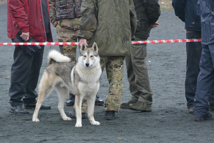 DSC_0101.JPG
