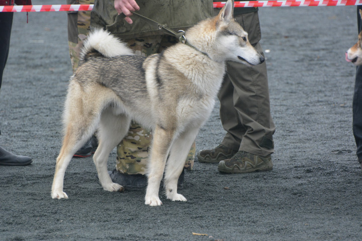 DSC_0102.JPG