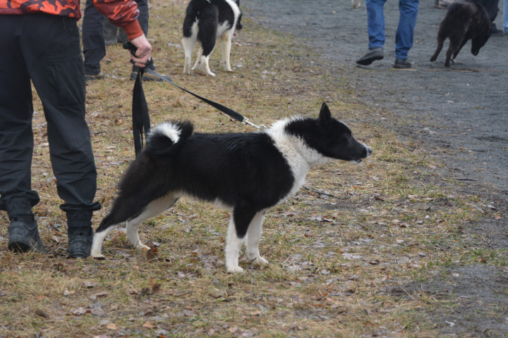 DSC_0103.JPG
