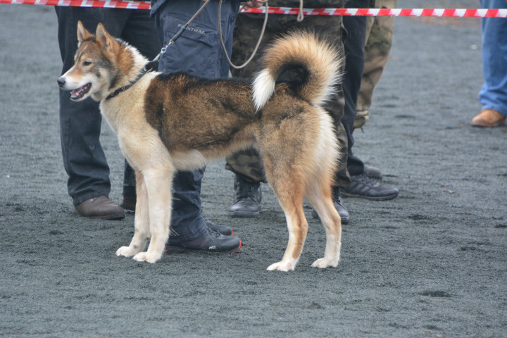 DSC_0106.JPG