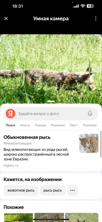 IMG_4447.png