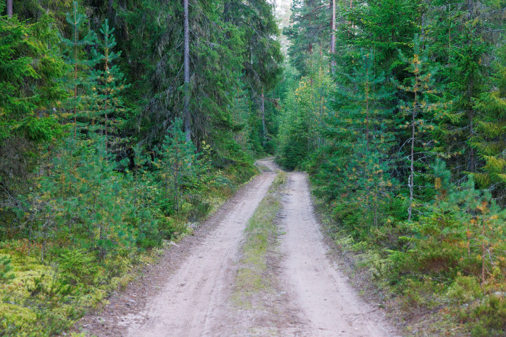 6V4A9709.jpg