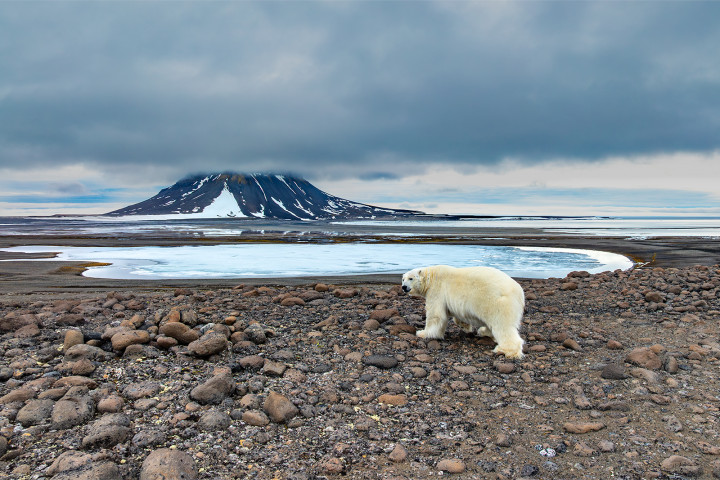 DJI_0270_1600.jpg