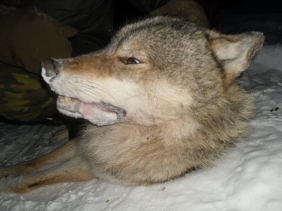 SAM_3580.JPG