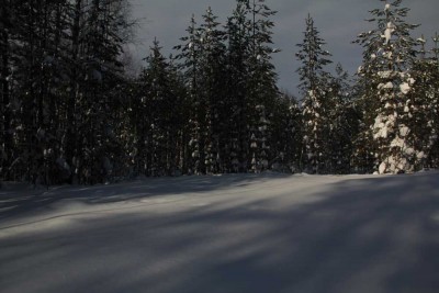 Резка перемена погоды. Солнце закрывается тучами.