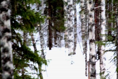 IMG_6609_k.jpg