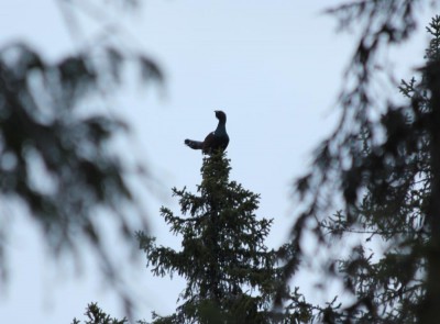 IMG_7857.jpg
