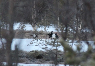 IMG_1321.JPG