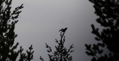 IMG_6453o.JPG