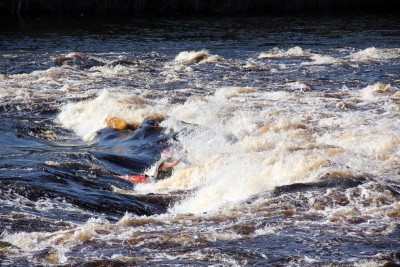 IMG_2864.jpg