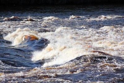 IMG_2865.jpg