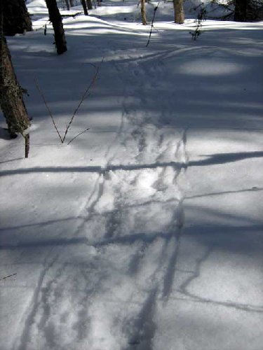 IMG_0774.jpg
