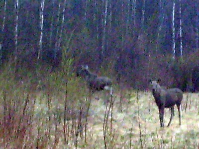 S7302020.jpg