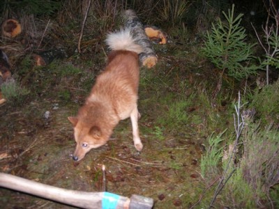 DSCN4177.JPG