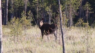 IMG_1906.JPG
