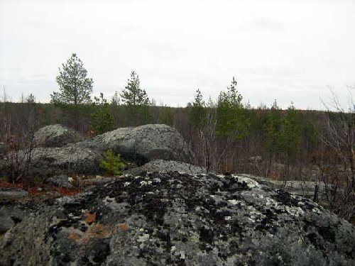 Без комментариев