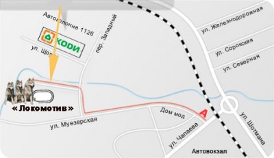 60.jpg