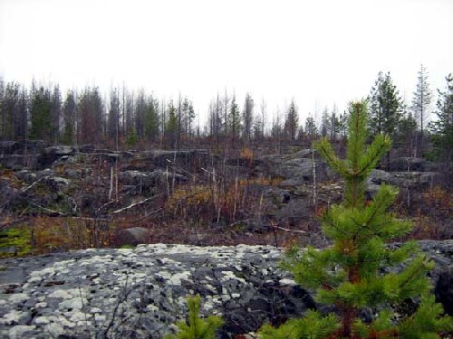 Без комментариев