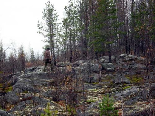 Без комментариев