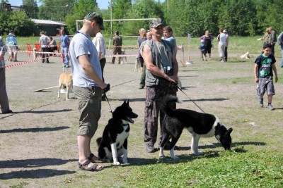 IMG_3634.jpg