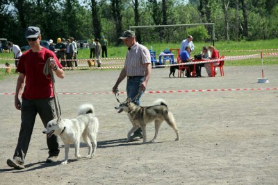 IMG_3665.jpg