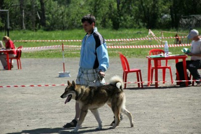 IMG_3667.jpg