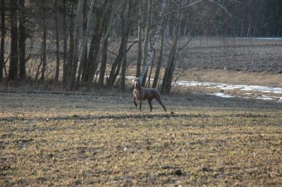 DSC_0857.JPG