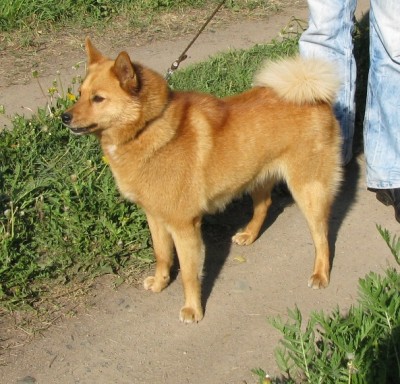 Кася.jpg
