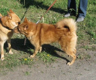 Поль.jpg