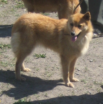 Тина.jpg