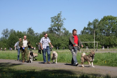 IMG_2573.jpg