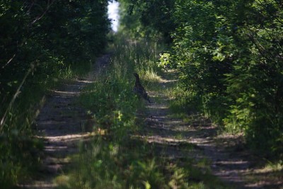 IMG_7038o1.JPG