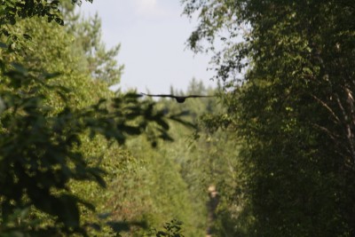 IMG_7052o1.JPG