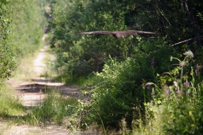 IMG_7054o1.JPG