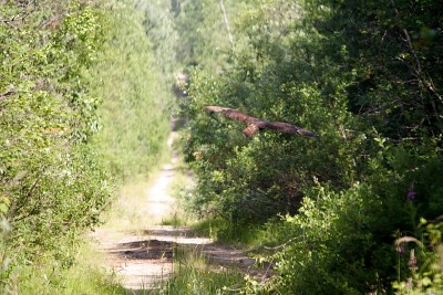 IMG_7055o1.JPG