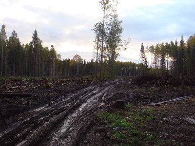 нурмозеро 2011 (4).JPG